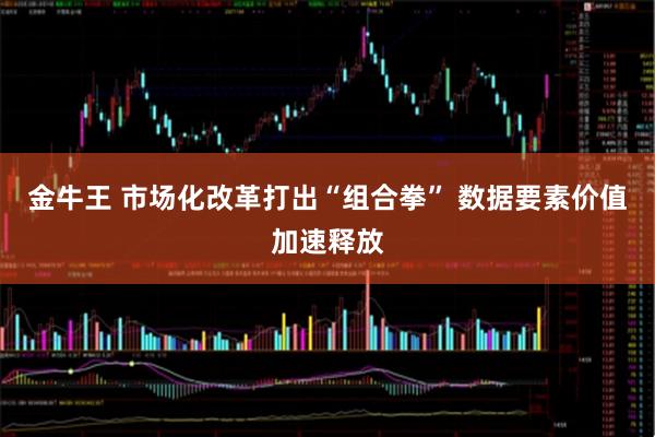金牛王 市场化改革打出“组合拳” 数据要素价值加速释放
