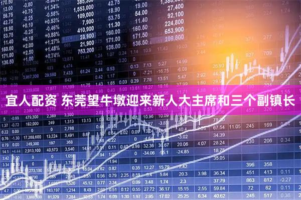 宜人配资 东莞望牛墩迎来新人大主席和三个副镇长